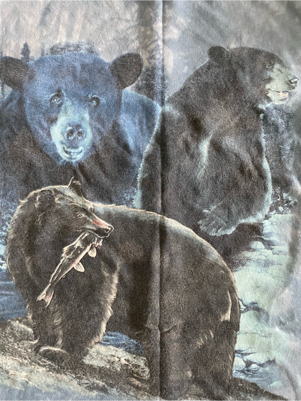 Vintage Gildan Black Bear Print Tee - Black/Blue 100% Cotton Camping Fishing - Picture 3 of 4